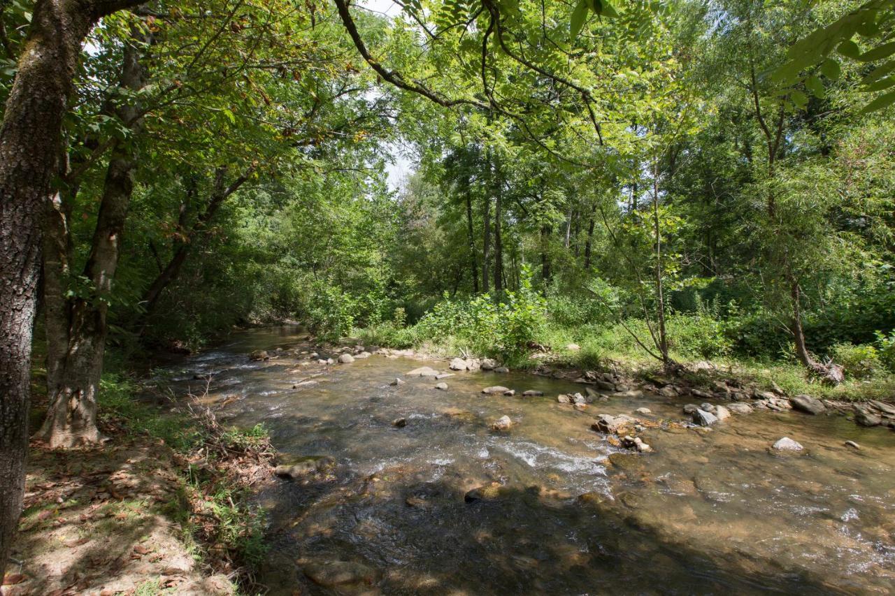 Reedy Patch Cabin Villa Hendersonville Exterior foto