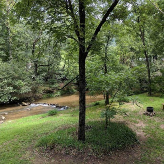 Reedy Patch Cabin Villa Hendersonville Exterior foto