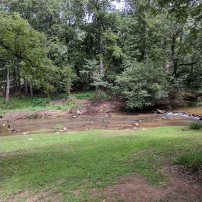 Reedy Patch Cabin Villa Hendersonville Exterior foto